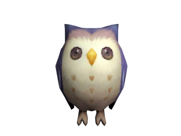 Owl